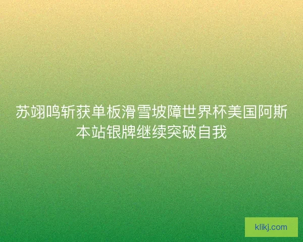苏翊鸣斩获单板滑雪坡障世界杯美国阿斯本站银牌继续突破自我