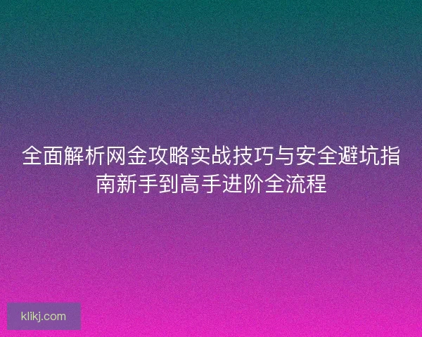 全面解析网金攻略实战技巧与安全避坑指南新手到高手进阶全流程